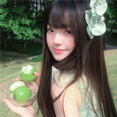 大都会2012